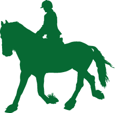 Horse and rider icon